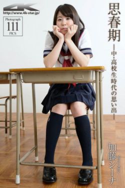 流金岁月 电视剧